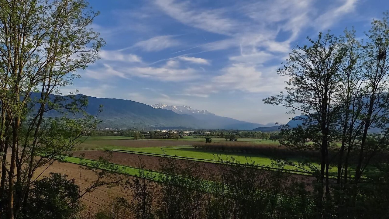 Photo of Others in Francin