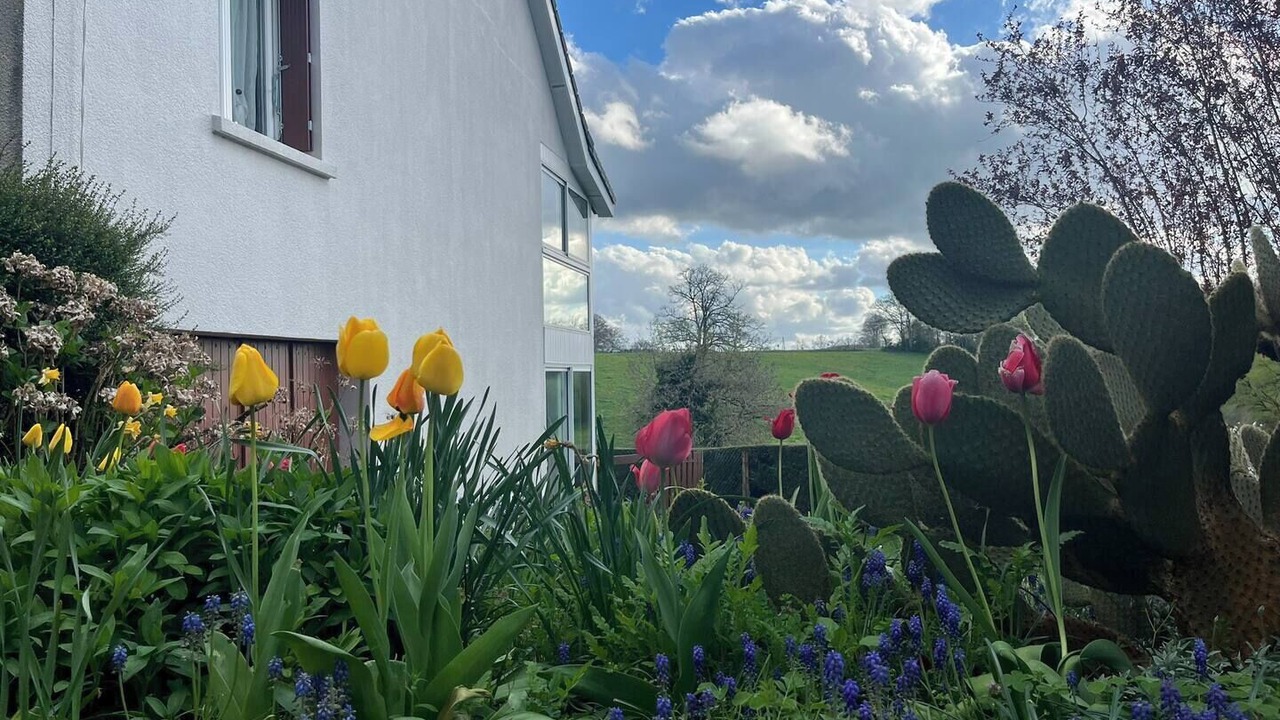 Photo of Outdoor in Prunet