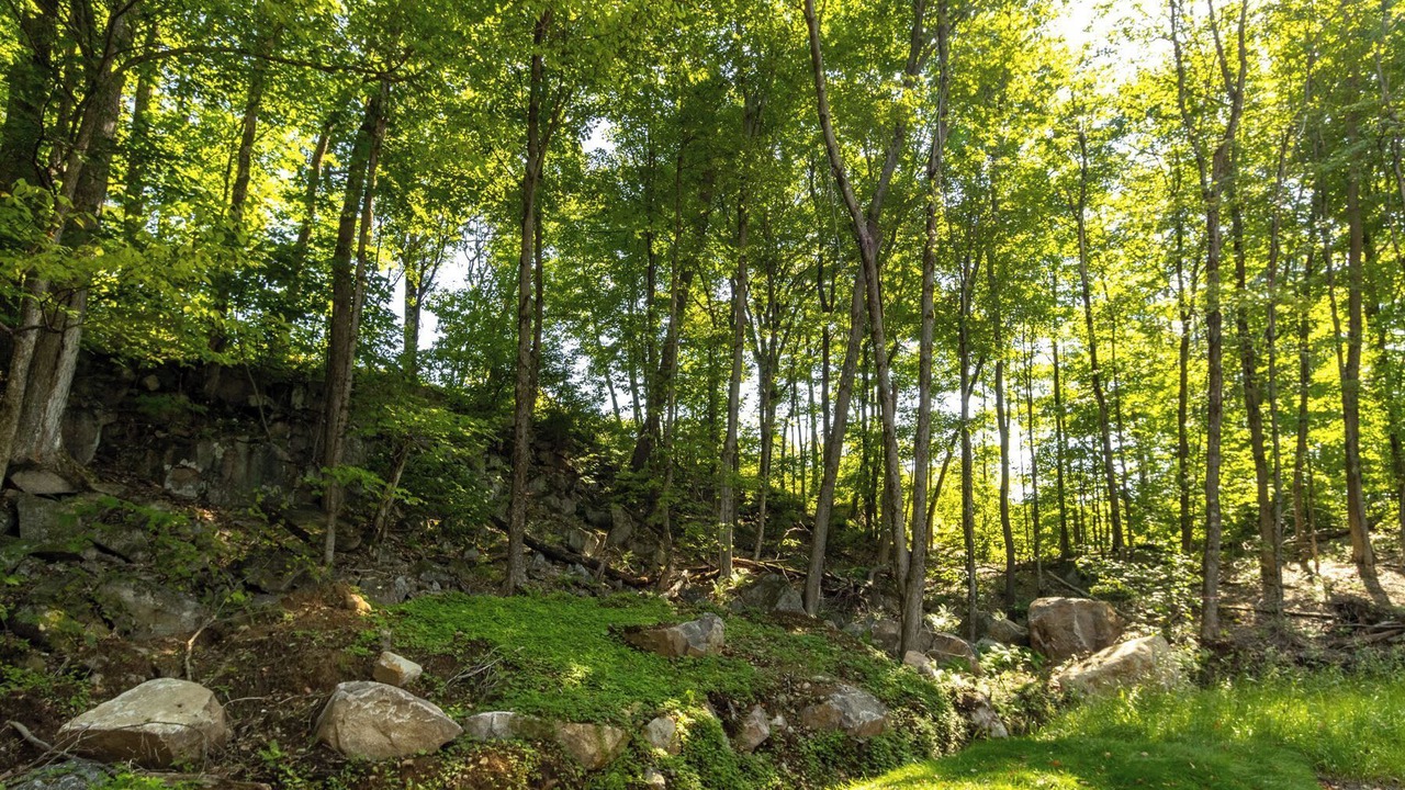 Photo of Outdoor in Pine Hill