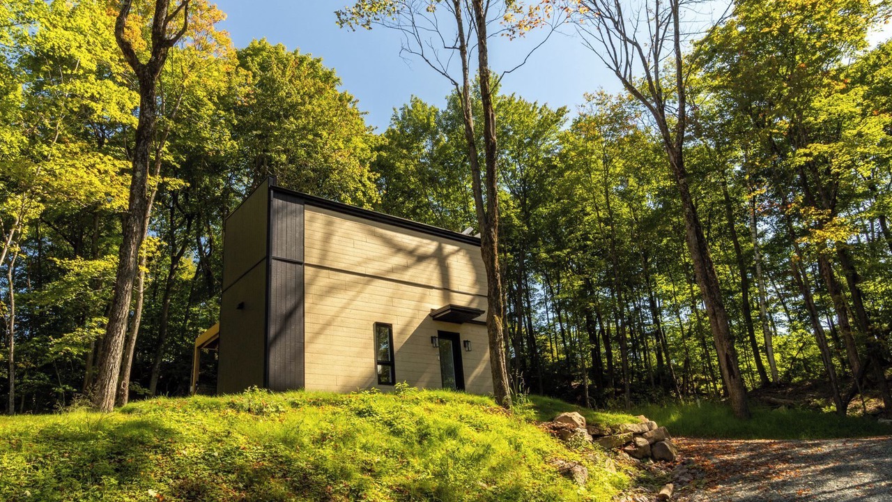 Photo of Outdoor in Pine Hill