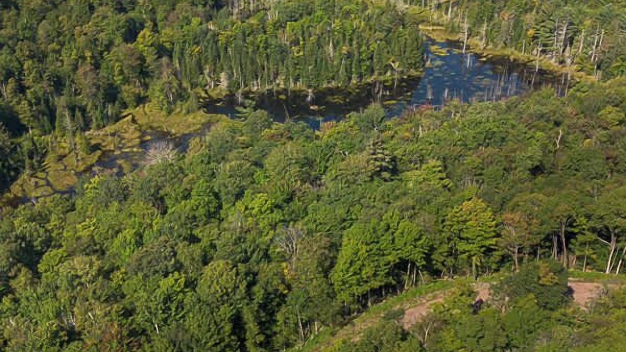 Photo of Outdoor in Pine Hill