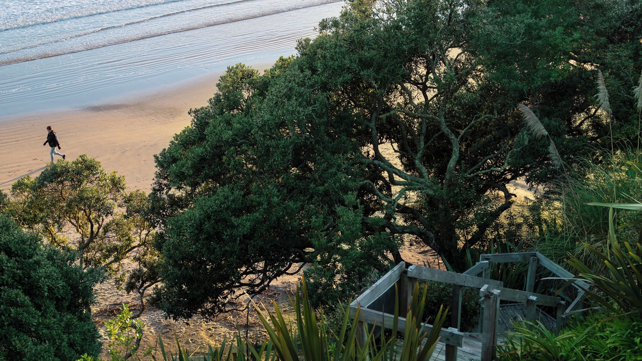 Photo of Others in Coopers Beach
