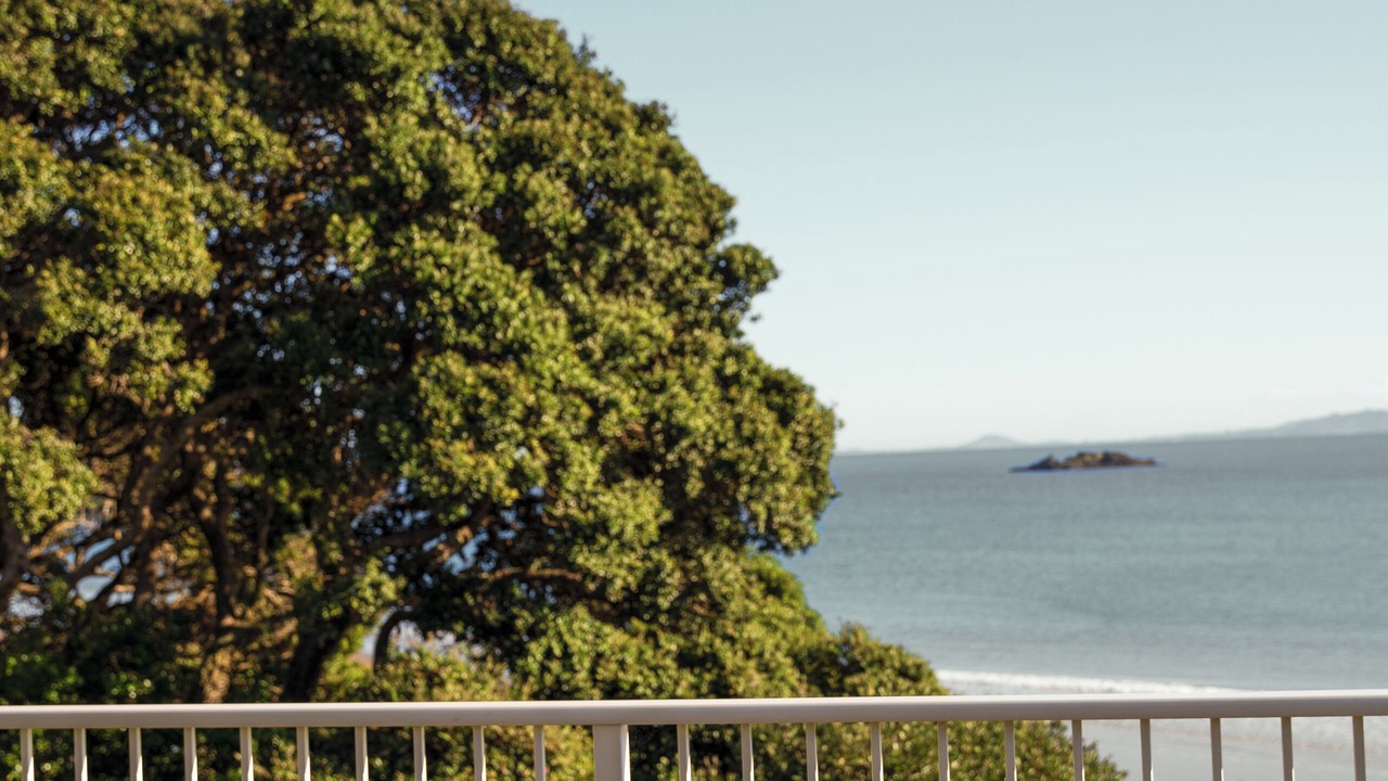 Photo of Others in Coopers Beach