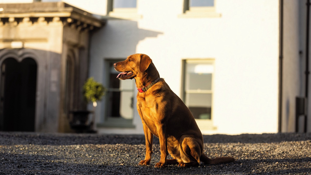 Photo of Outdoor in Grange-over-Sands