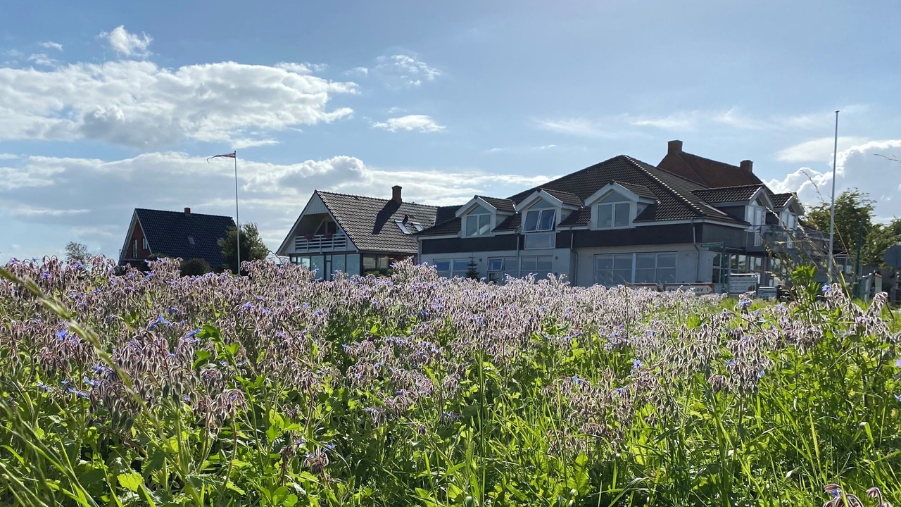 Photo of Outdoor in Middelfart