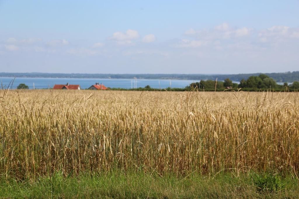 Photo of Others in Middelfart