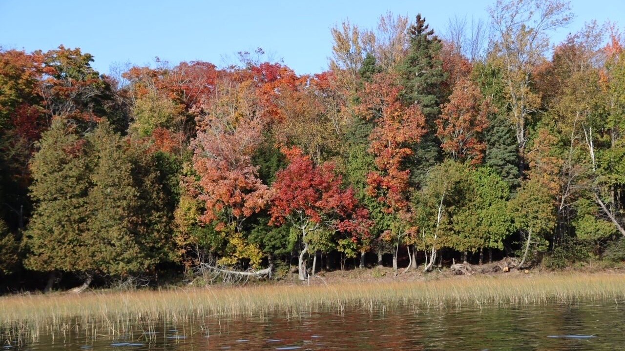 Photo of Others in Huron Shores