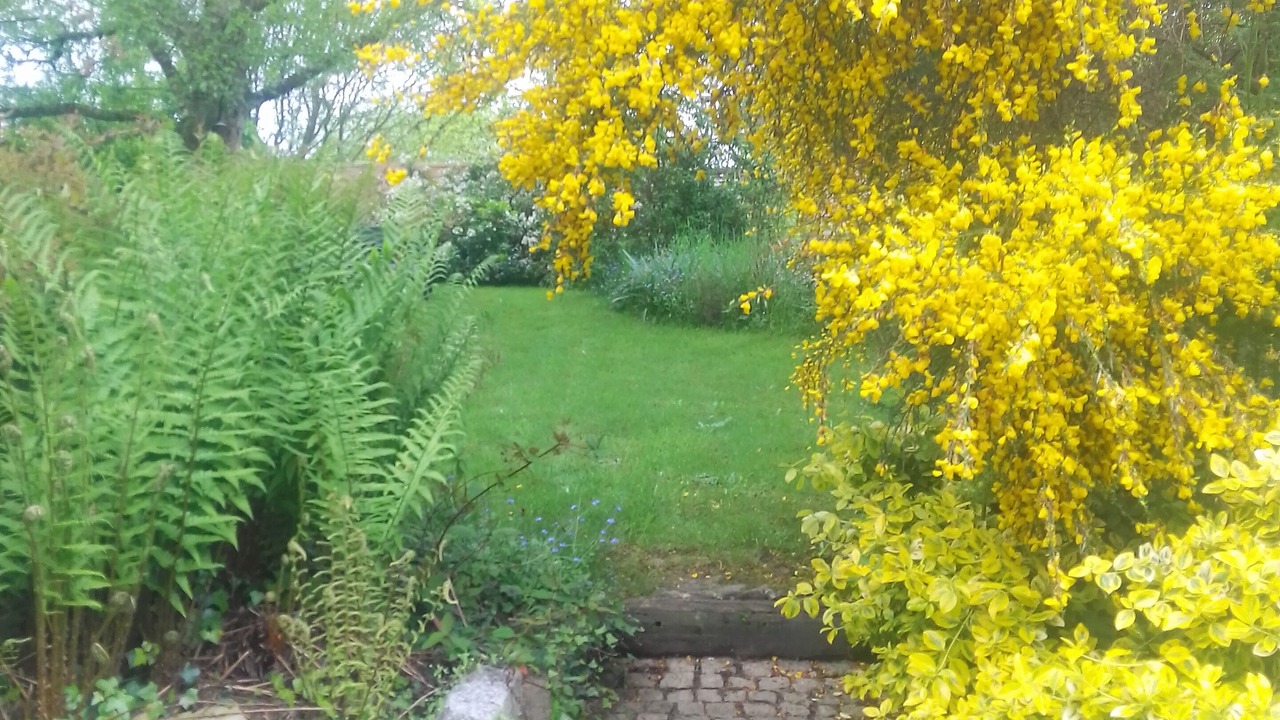 Photo of Outdoor in Henanbihen