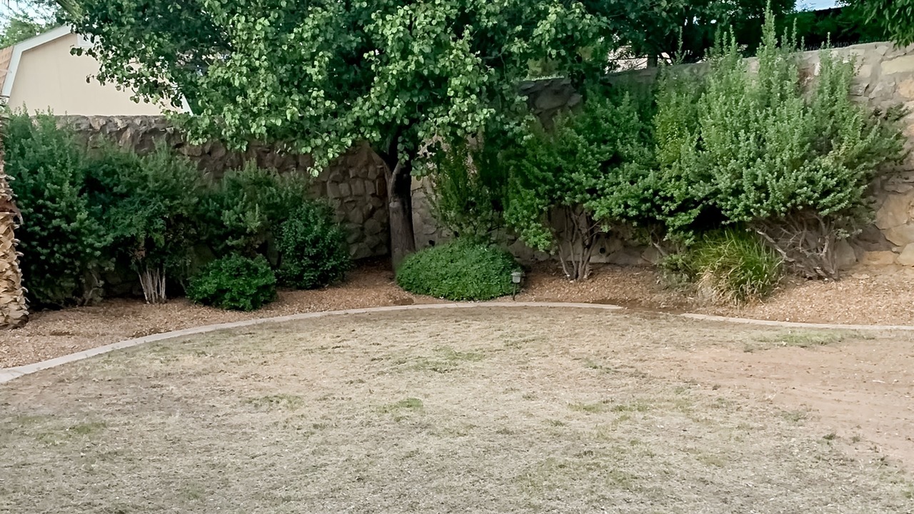 Photo of Outdoor in Biggs Field