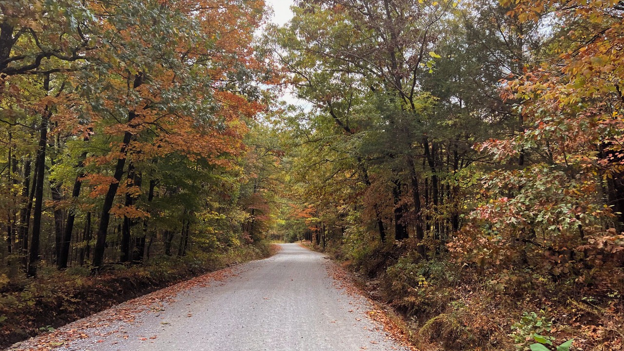 Photo of Outdoor in Winslow