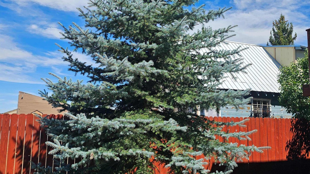 Photo of Outdoor in Big Bear City