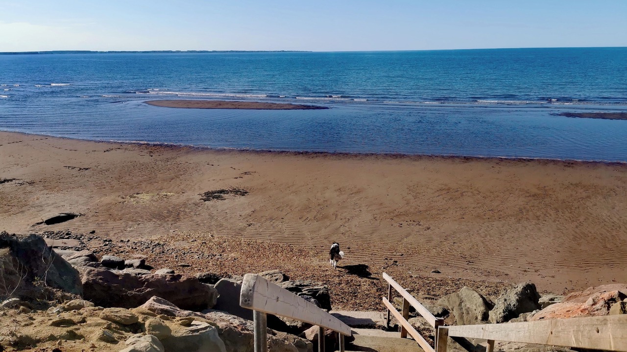 Photo of Others in Grand Barachois