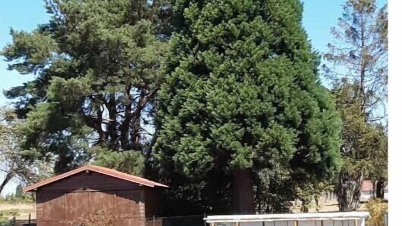 Photo of Outdoor in Enchenberg