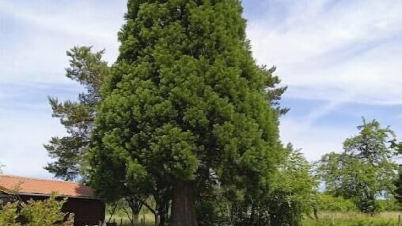 Photo of Outdoor in Enchenberg