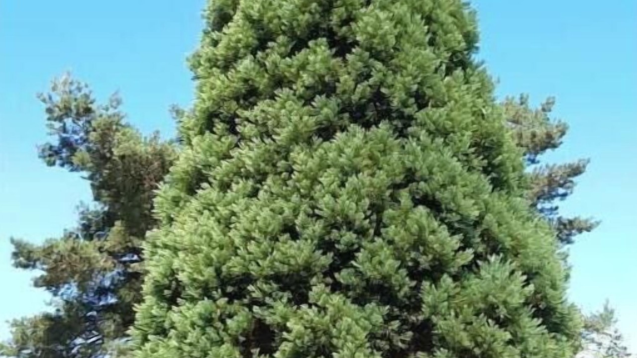 Photo of Outdoor in Enchenberg