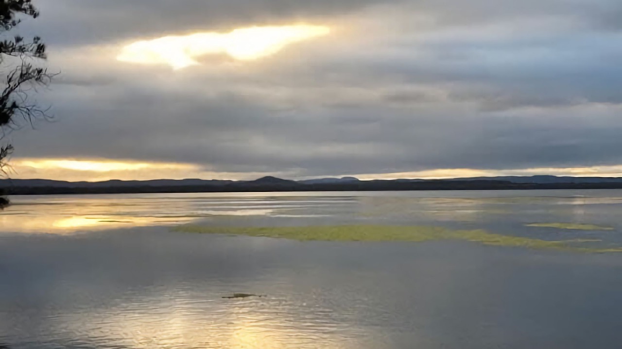 Photo of Others in Chittaway Point
