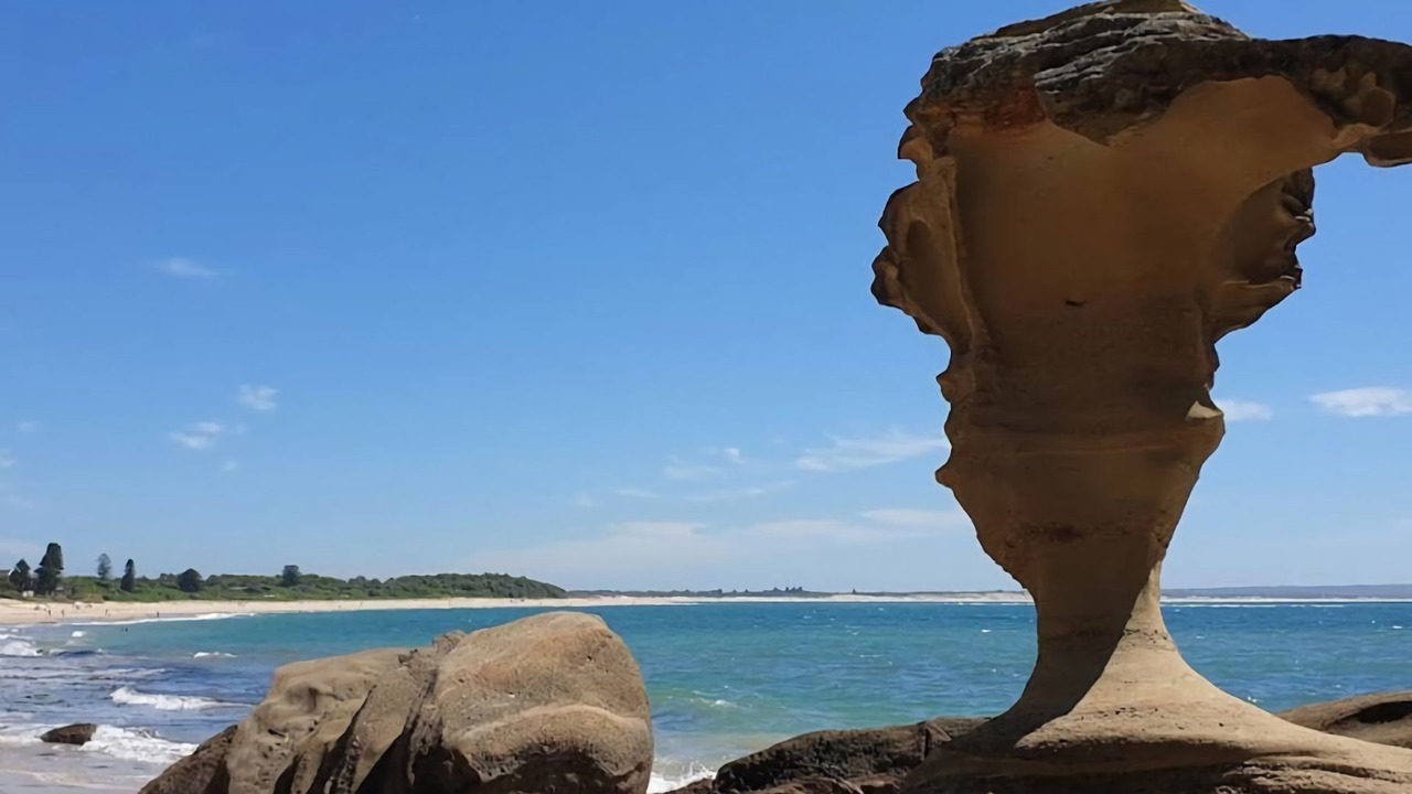 Photo of Others in Berkeley Vale