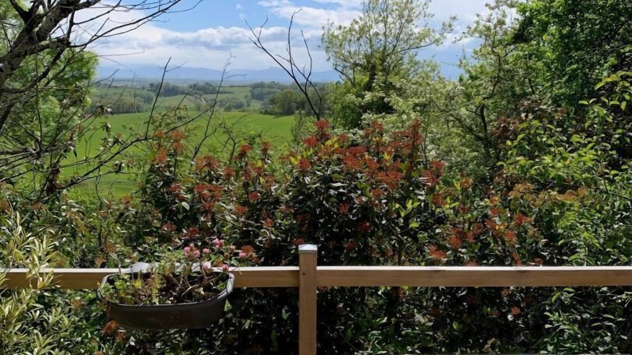 Photo of Outdoor in Sajas