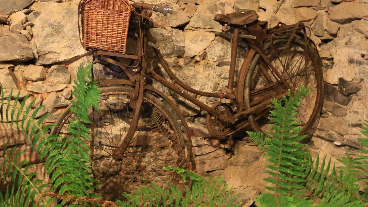 Photo of Outdoor in Cier-de-Riviere