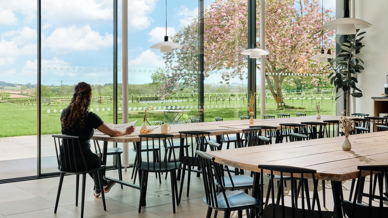 Photo of Others in Tamworth