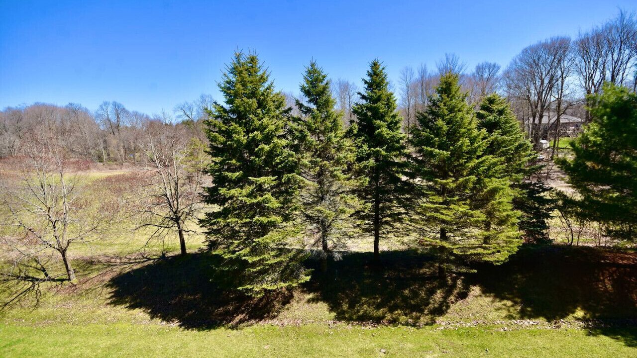 Photo of Outdoor in Oro-Medonte