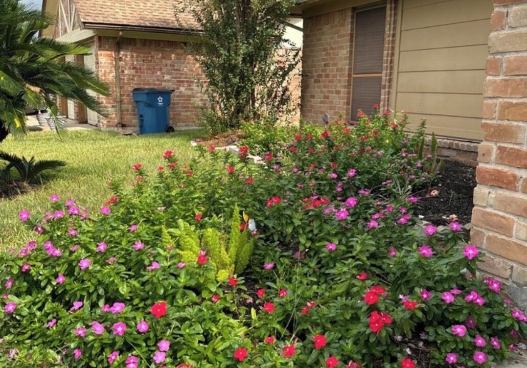 Photo of Outdoor in Mission Bend