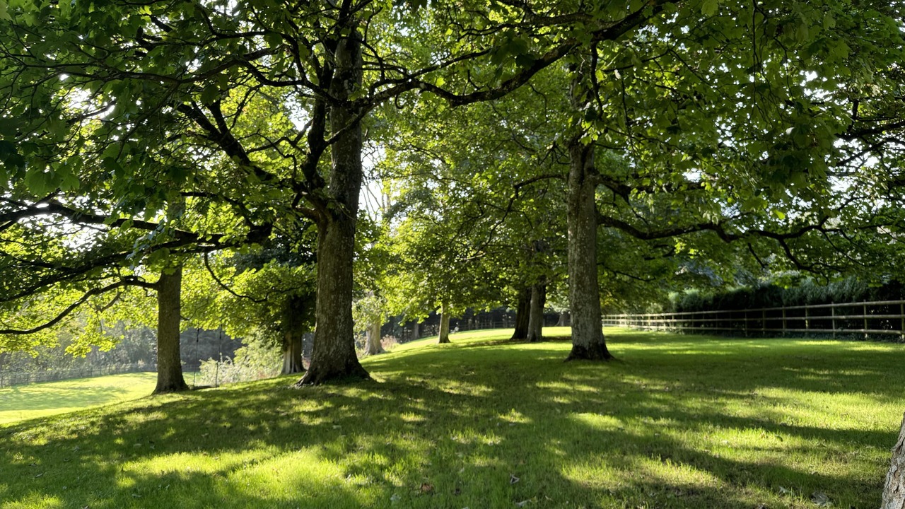 Photo of Outdoor in Dorchester