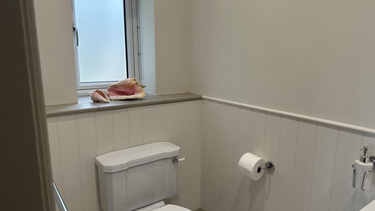 Photo of Others in Dorchester