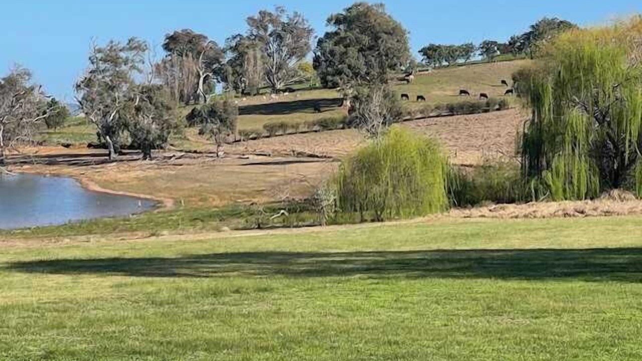 Photo of Others in Bethanga