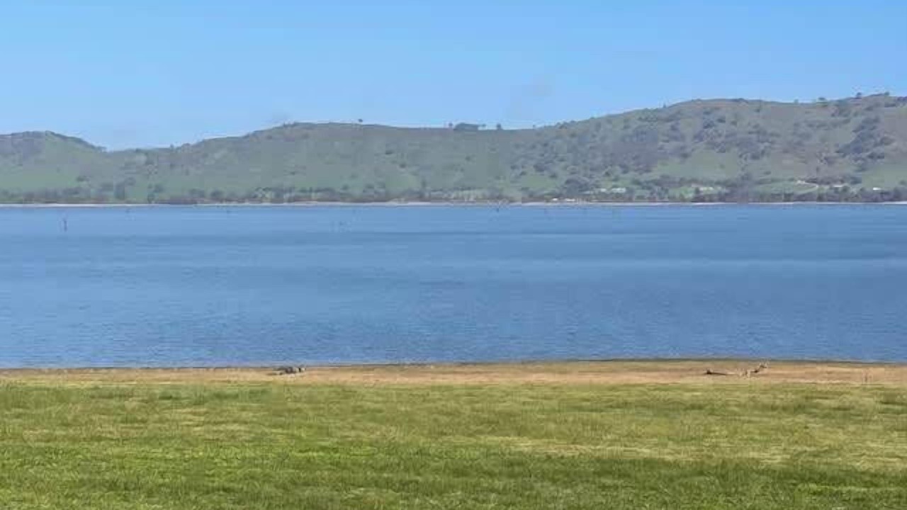 Photo of Others in Bethanga