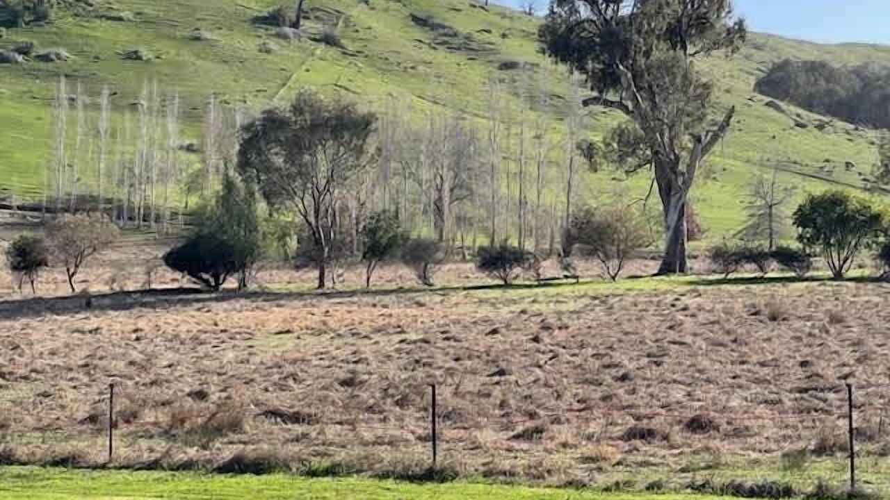 Photo of Outdoor in Bethanga