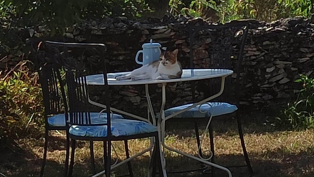 Photo of Outdoor in Rocamadour