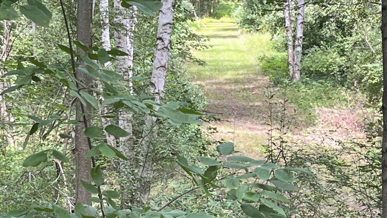 Photo of Outdoor in Elm Hall
