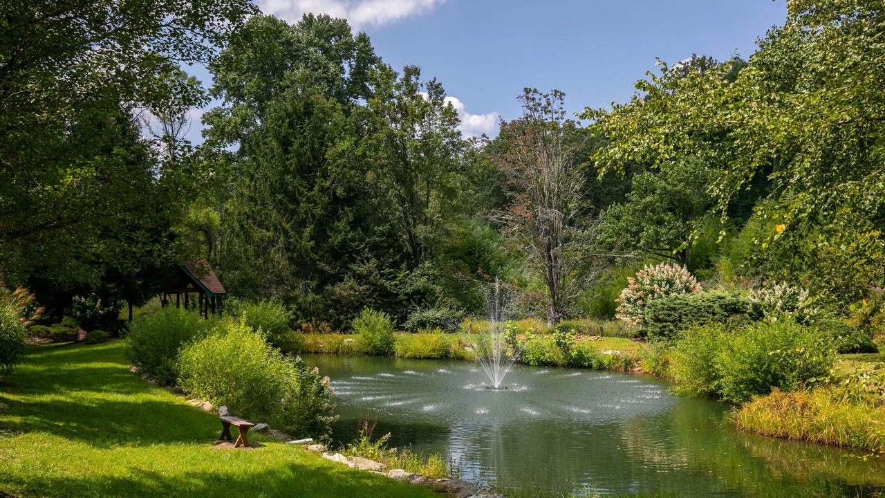 Photo of Outdoor in Piney Creek