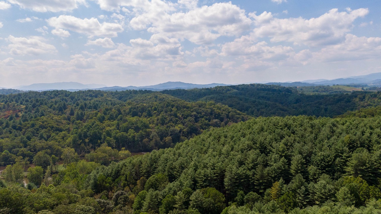 Photo of Outdoor in Piney Creek