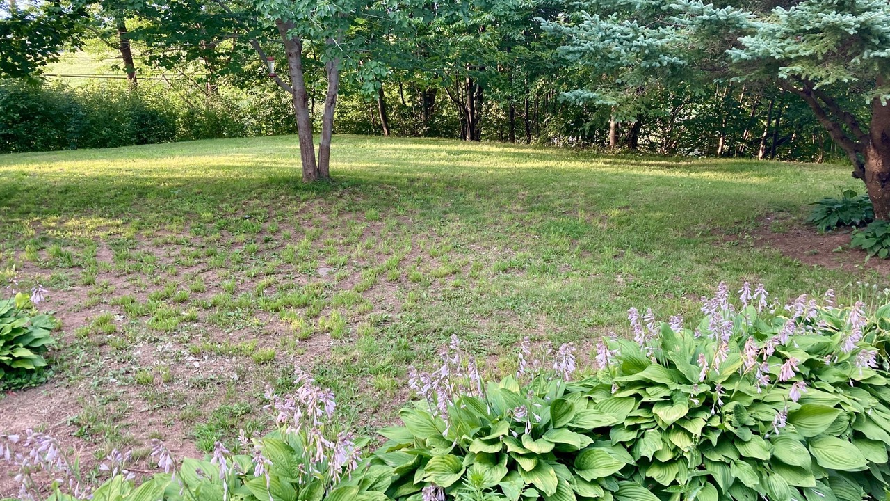 Photo of Others in Annapolis County