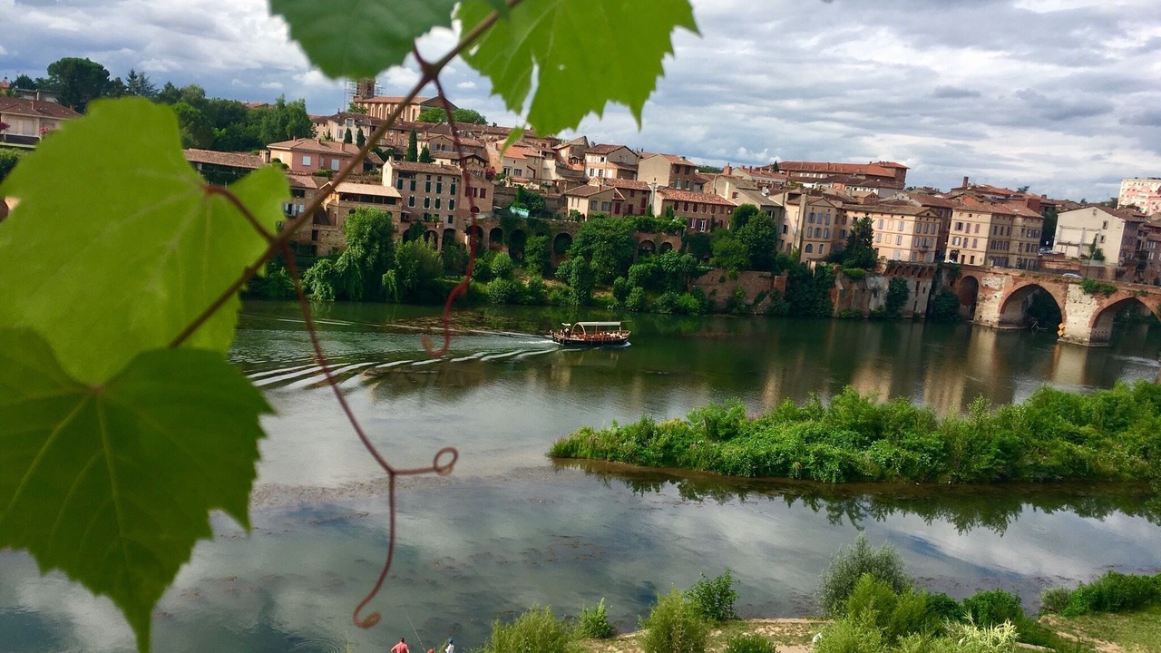 Photo of Others in Cordes-sur-Ciel