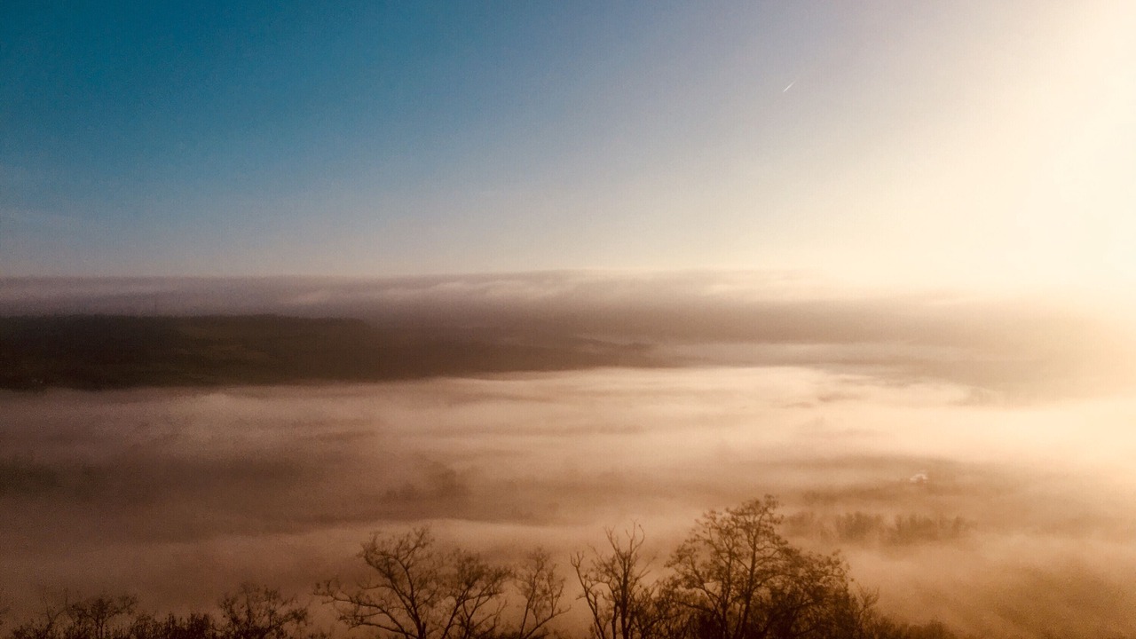 Photo of Others in Cordes-sur-Ciel