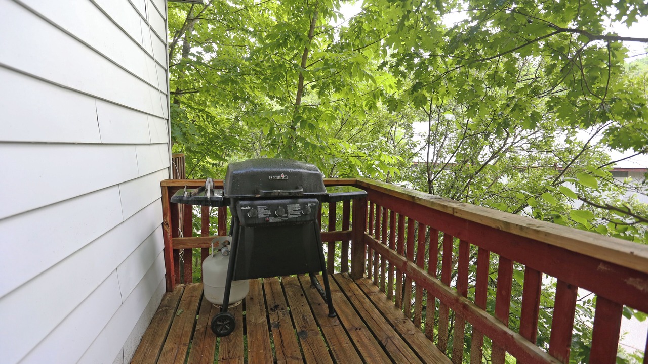 Photo of Outdoor in Severn