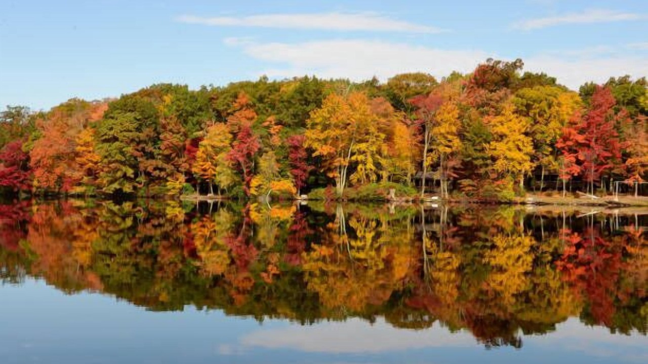 Photo of Others in Mount Pocahontas