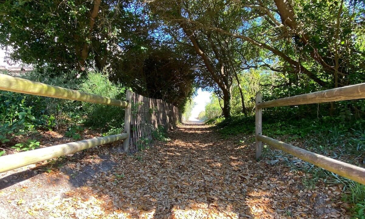 Photo of Outdoor in Northeast Virginia Beach