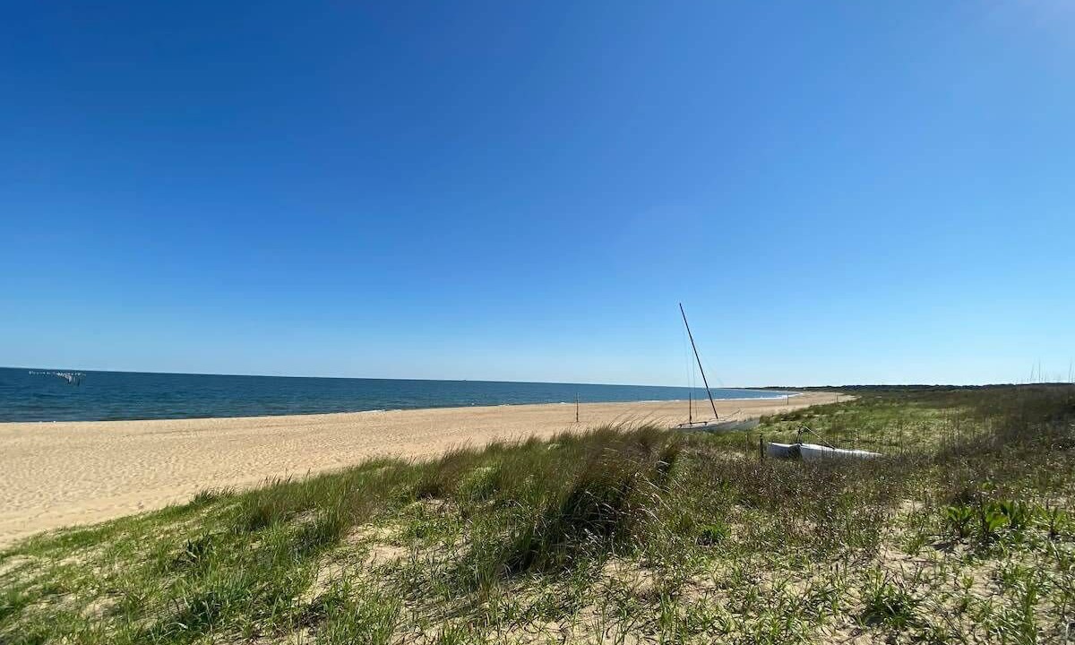 Photo of Others in Northeast Virginia Beach