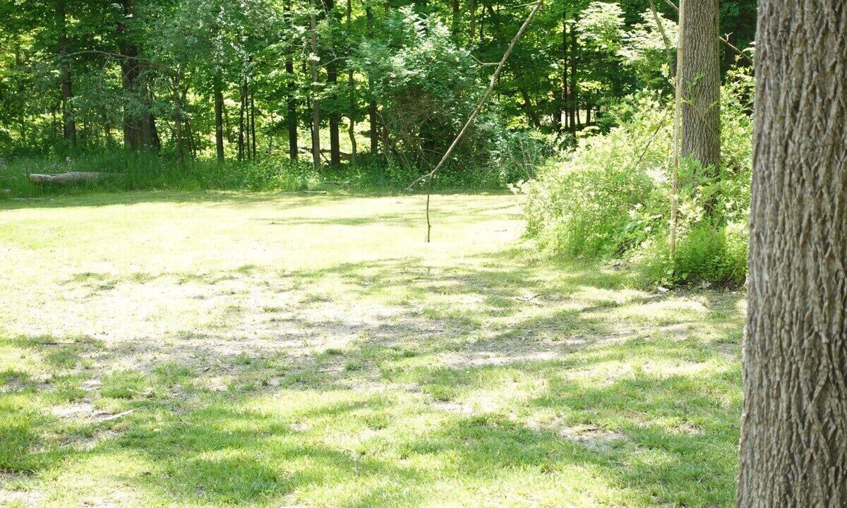 Photo of Others in New Hampton