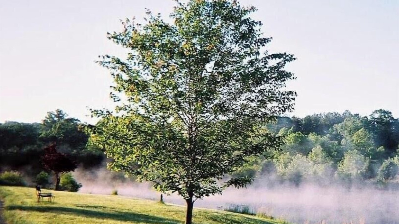 Photo of Outdoor in Boyd Tavern