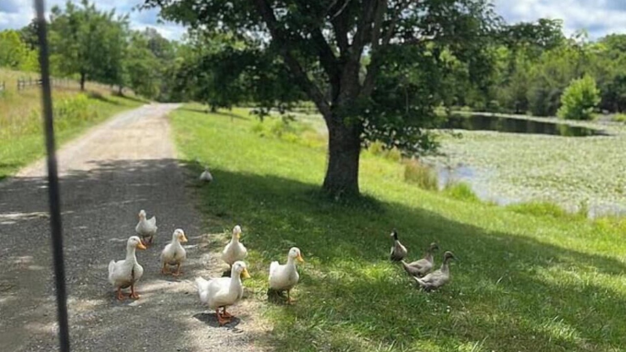 Photo of Outdoor in Boyd Tavern