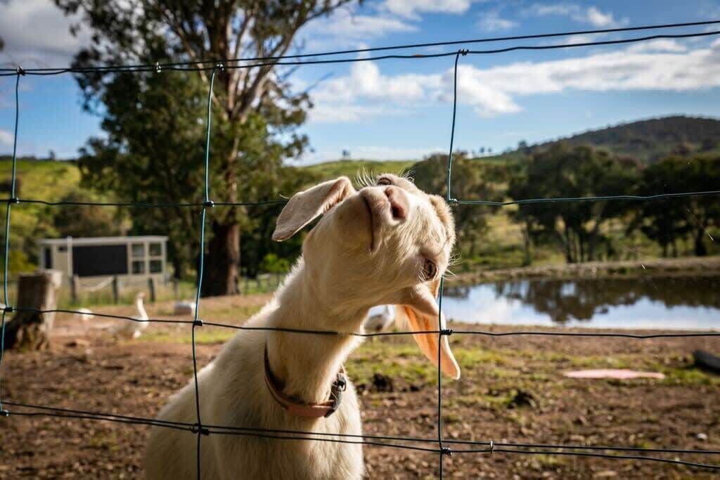 Photo of Outdoor in Windeyer