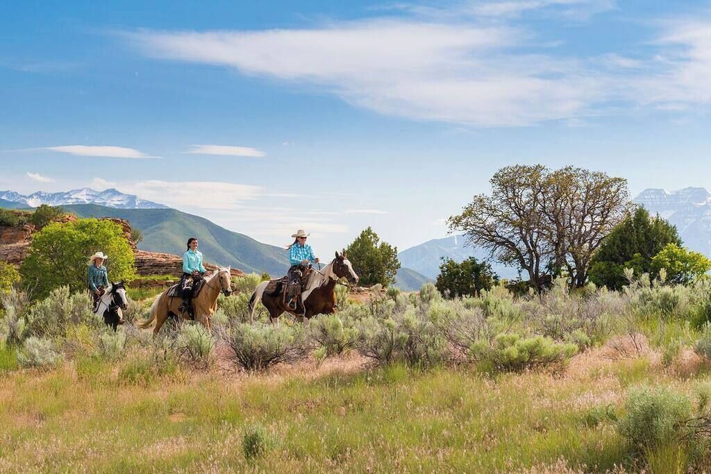 Photo of Others in Heber