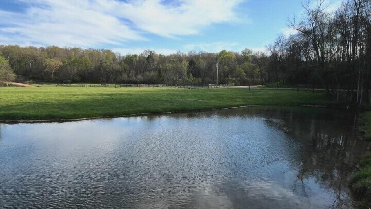 Photo of Outdoor in Piedmont