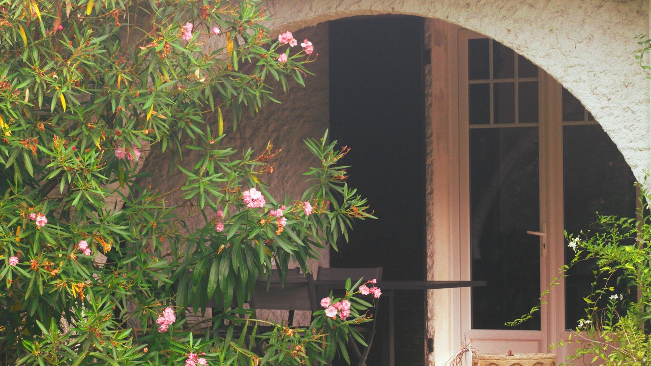 Photo of Outdoor in Montauban