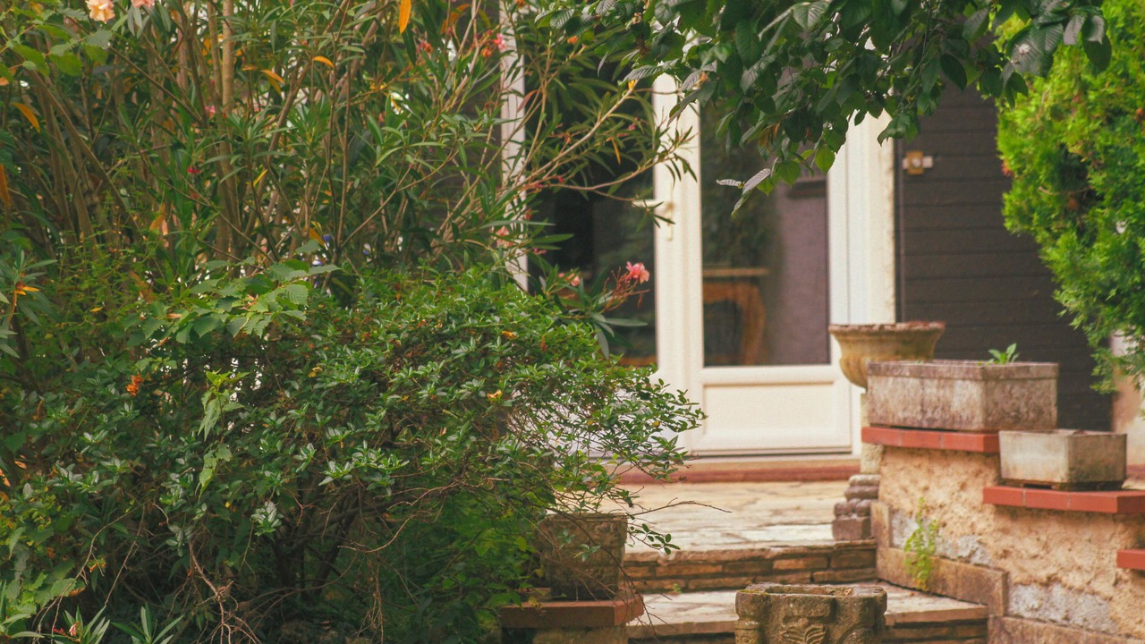 Photo of Outdoor in Montauban